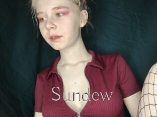 Sundew