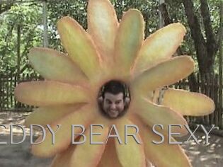 TEDDY_BEAR_SEXY