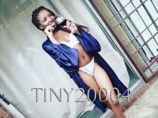 TINY20004