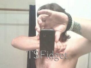 TSFidget