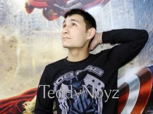 TeddyNoyz