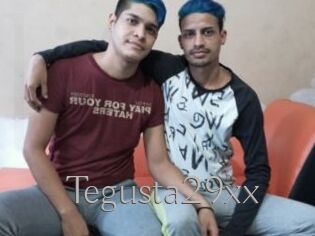 Tegusta29xx