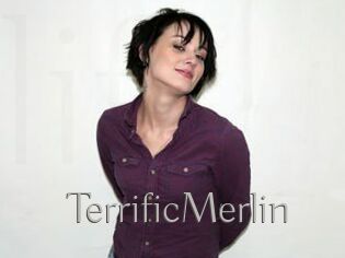 TerrificMerlin