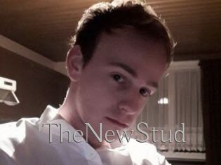 TheNewStud