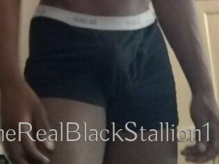 TheRealBlackStallion1