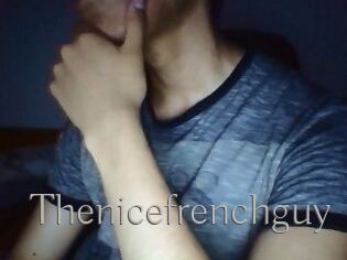 Thenicefrenchguy