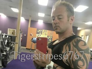 Tigerstripes6767