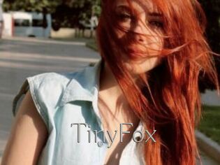 TinyFox
