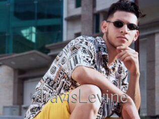 TravisLevine