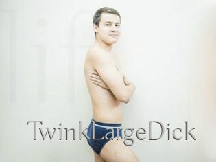 TwinkLargeDick