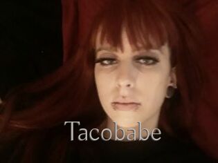 Tacobabe