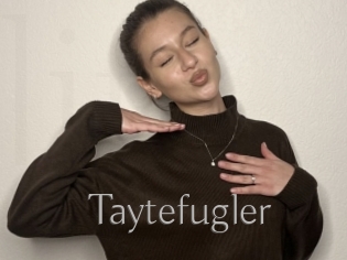 Taytefugler