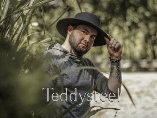 Teddysteel