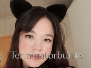 Terminatorbunny