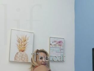 The_cat