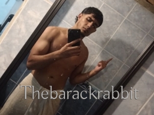Thebarackrabbit
