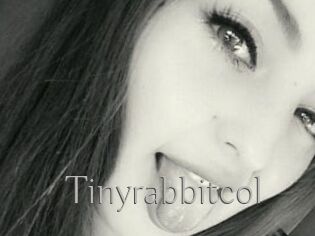 Tinyrabbitcol