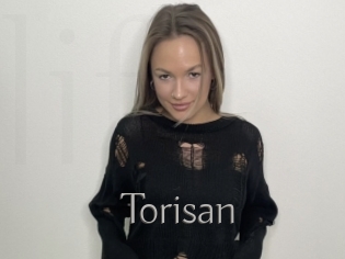 Torisan