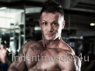 Tridentmuscles4u