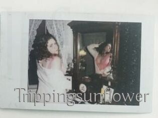 Trippingsunflower