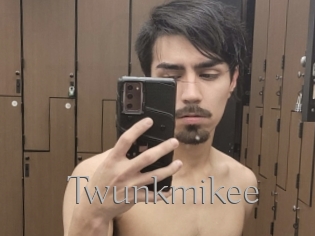 Twunkmikee