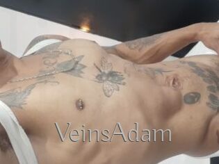 VeinsAdam