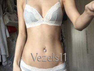 Vezels11