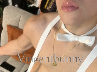 Vincentbunny