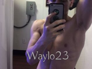 Waylo23
