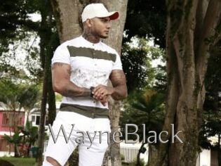 WayneBlack