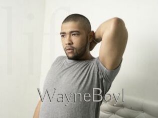 WayneBoyI