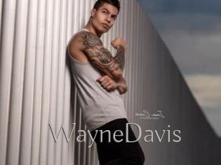WayneDavis