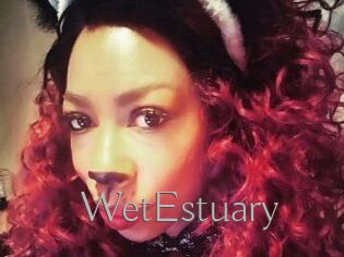 WetEstuary