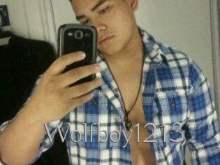 Wolfboy1213