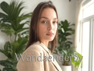 Wandaenderby