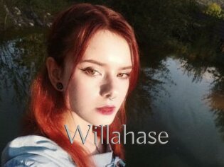 Willahase