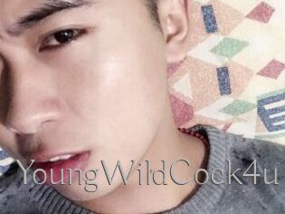 YoungWildCock4u