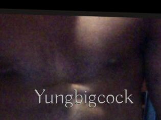 Yungbigcock