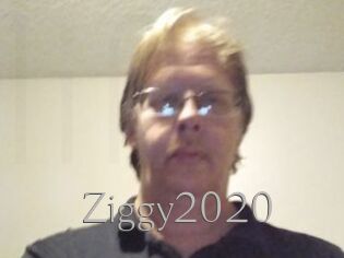 Ziggy2020