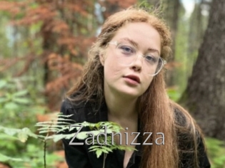 Zadnizza
